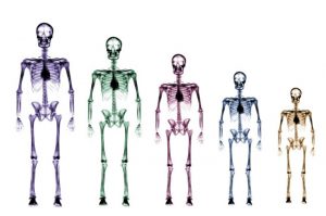 BMI verschillende personen